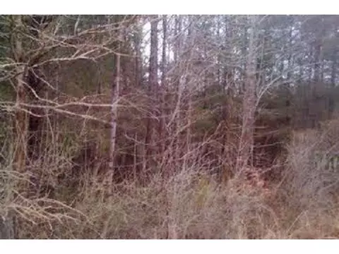 1324 Raspberry Run, Graham, NC 27253 photo 2