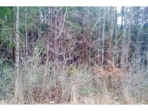 1324 Raspberry Run, Graham, NC 27253 photo 1