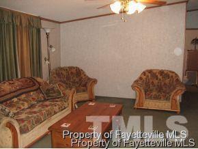315 Brumfield Rd, Cameron, NC 28326 photo 5