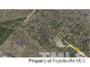 315 Brumfield Rd, Cameron, NC 28326 photo 2