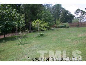 266 Lattimore Rd, Cameron, NC 28326 photo 20