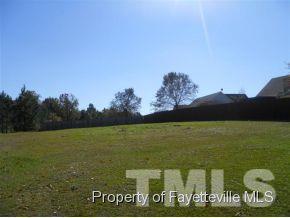 112 Tanner Loop, Raeford, NC 28376 photo 15