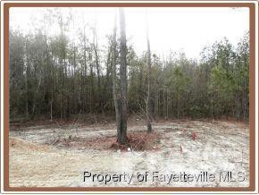 125 Honor Ln, Bunnlevel, NC 28323 photo 20