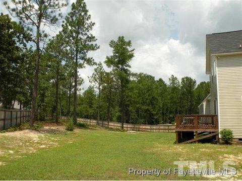 31 Victorian Oak Ct, Bunnlevel, NC 28323 photo 25