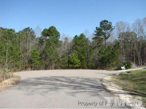 146 Meadowrun Dr, Cameron, NC 28326 photo 3