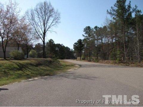 146 Meadowrun Dr, Cameron, NC 28326 photo 4