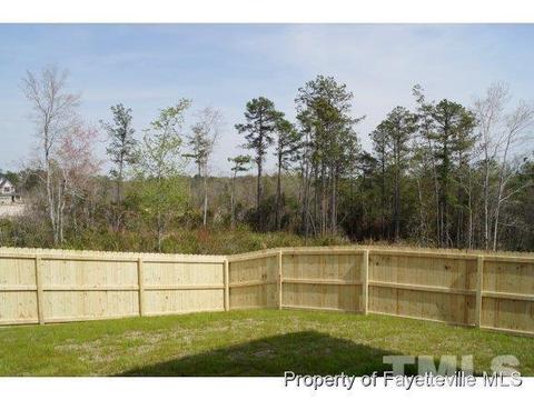 101 Tripoli Dr, Cameron, NC 28326 photo 25
