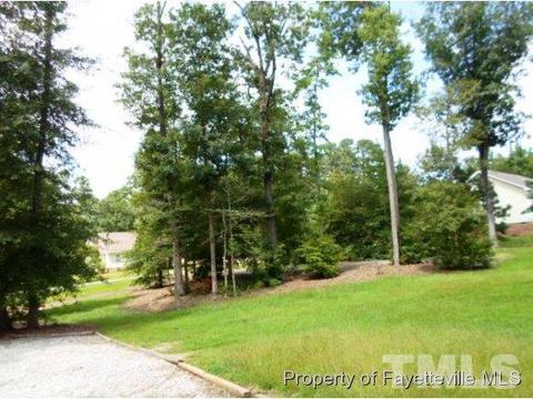 87 Gary, Angier, NC 27501 photo 19