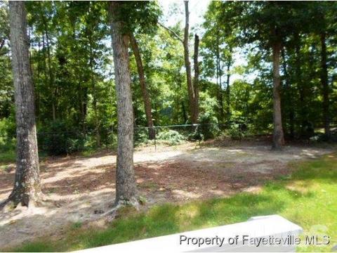 87 Gary, Angier, NC 27501 photo 20