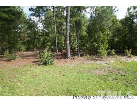 468 Basket Oak Dr, Bunnlevel, NC 28323 photo 22