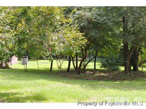 20 Clyde Ln, Cameron, NC 28326 photo 23