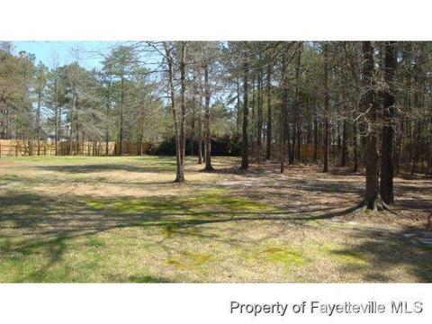95 Meadowrun Dr, Cameron, NC 28326 photo 20