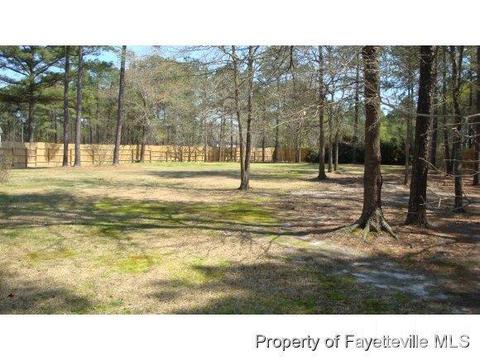 95 Meadowrun Dr, Cameron, NC 28326 photo 22