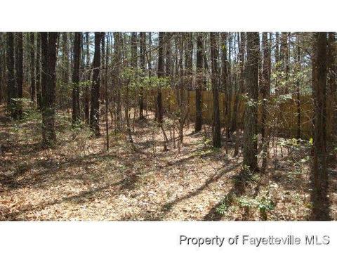 95 Meadowrun Dr, Cameron, NC 28326 photo 21