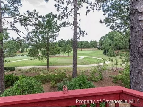 83 Deerwood Ln, Pinehurst, NC 28374 photo 21