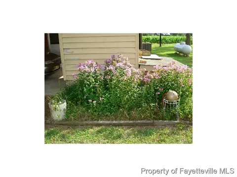 2157 Green Path Rd, Dunn, NC 28334 photo 24