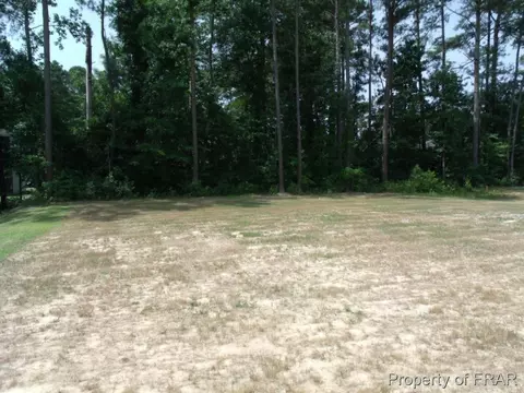 808 Raspberry Rd, Stedman, NC 28391 photo 35