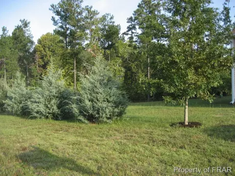 20 Knotty Pine Dr, Cameron, NC 28326 photo 31