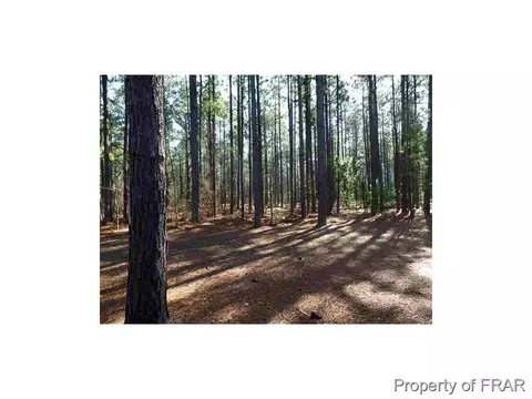 116 Juniper Creek Blvd, Pinehurst, NC 28374 photo 3