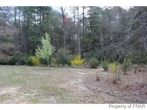 246 Lattimore Rd, Cameron, NC 28326 photo 30