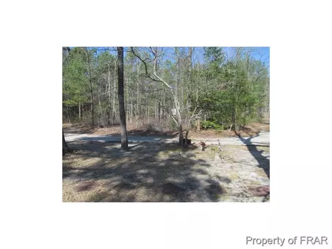 42 Lizard Lick Ln, Cameron, NC 28326 photo 3