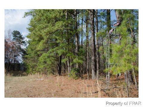272 Sellars Rd, Cameron, NC 28326 photo 14