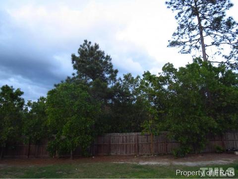 24 Overcup Oak Cir, Bunnlevel, NC 28323 photo 22