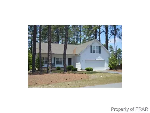 114 Perkins Ln, Pinebluff, NC 28373 photo 1