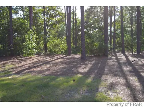 114 Perkins Ln, Pinebluff, NC 28373 photo 15