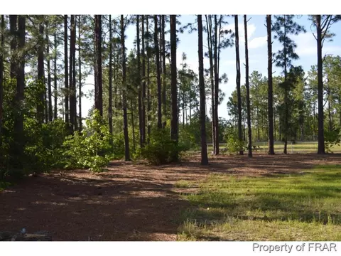 114 Perkins Ln, Pinebluff, NC 28373 photo 16