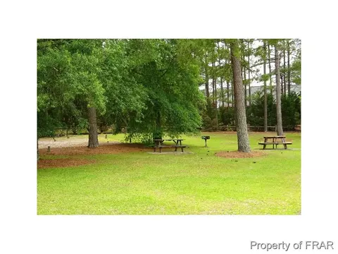 16080 Bee Tree Ln, Wagram, NC 28396 photo 30
