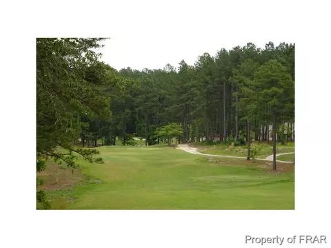 16080 Bee Tree Ln, Wagram, NC 28396 photo 26