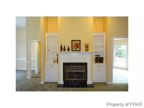 16080 Bee Tree Ln, Wagram, NC 28396 photo 4