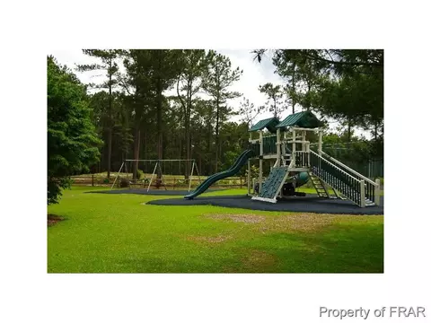 16080 Bee Tree Ln, Wagram, NC 28396 photo 33