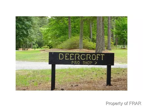 16080 Bee Tree Ln, Wagram, NC 28396 photo 32