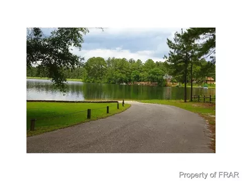 16080 Bee Tree Ln, Wagram, NC 28396 photo 29
