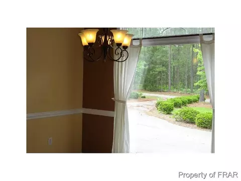 16080 Bee Tree Ln, Wagram, NC 28396 photo 7