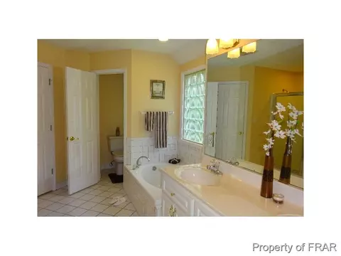 16080 Bee Tree Ln, Wagram, NC 28396 photo 13