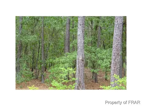 16080 Bee Tree Ln, Wagram, NC 28396 photo 27