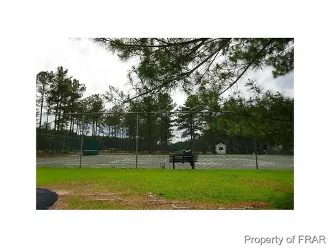 16080 Bee Tree Ln, Wagram, NC 28396 photo 34