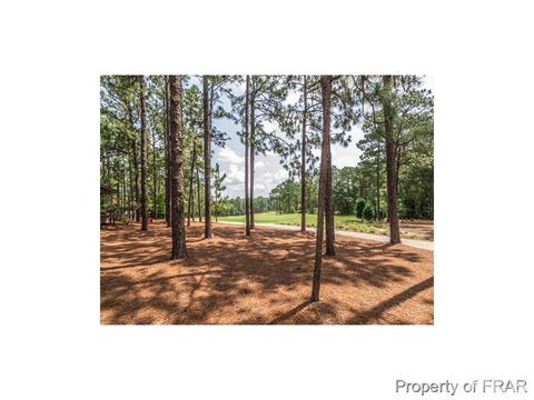 230 Barton Hills Ct, Pinehurst, NC 28374 photo 19