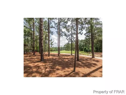 230 Barton Hills Ct, Pinehurst, NC 28374 photo 19