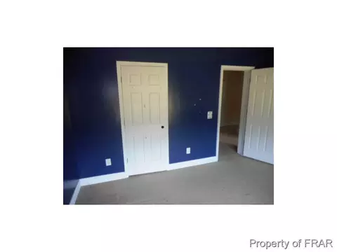 771 Mount Olive School Rd, Bladenboro, NC 28320 photo 10