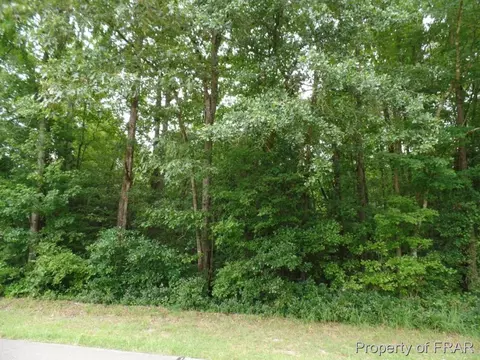 415 Carter Rd, Lumber Bridge, NC 28357 photo 25