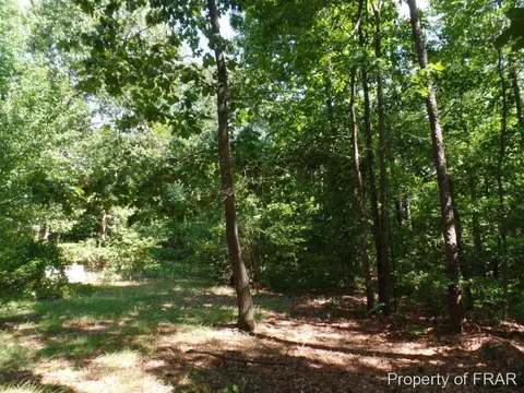 415 Carter Rd, Lumber Bridge, NC 28357 photo 5