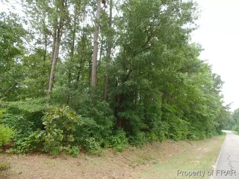 415 Carter Rd, Lumber Bridge, NC 28357 photo 28