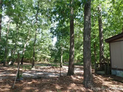 415 Carter Rd, Lumber Bridge, NC 28357 photo 3