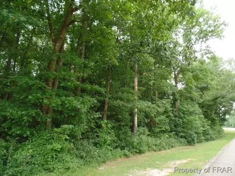 415 Carter Rd, Lumber Bridge, NC 28357 photo 24