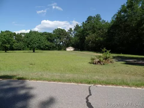 415 Carter Rd, Lumber Bridge, NC 28357 photo 12