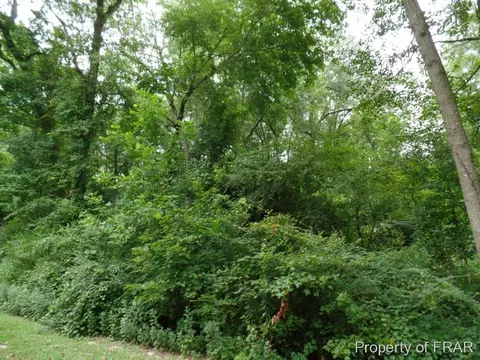 415 Carter Rd, Lumber Bridge, NC 28357 photo 20